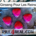Ginseng For Kidney 13